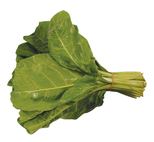 PAZI DEMET nin resmi