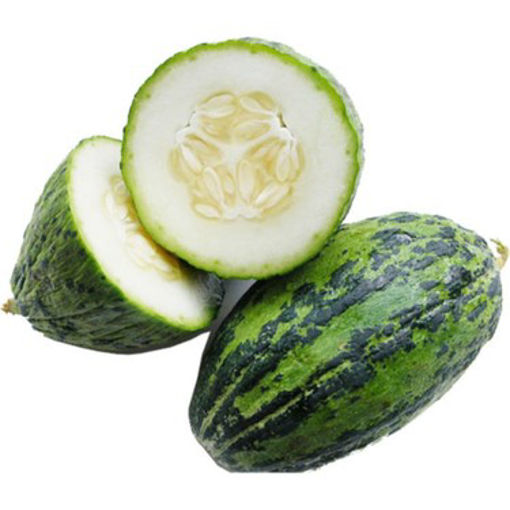 KELEK nin resmi
