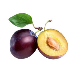 ERİK ANJERİK