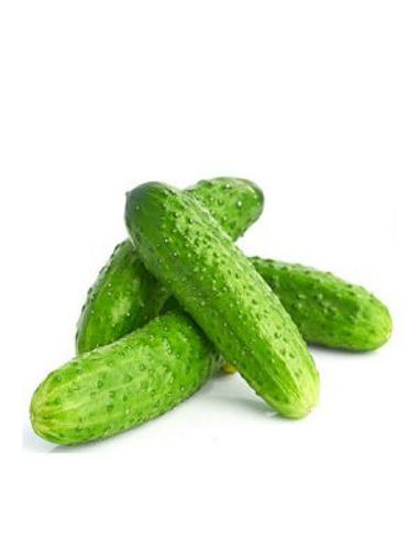 SALATALIK TURŞULUK nin resmi