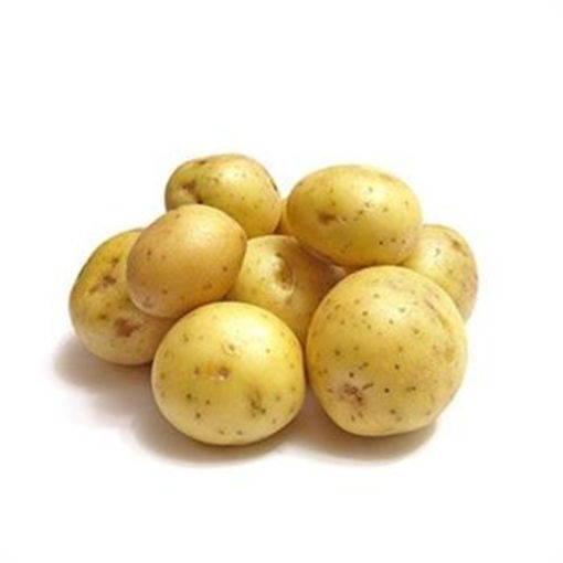 PATATES BEYBİ  KG nin resmi