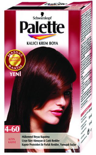 PALETTE SAC BOYASI 7/1 KULLU KUMRAL. nin resmi