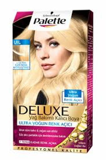 PALETTE YOGUN RENK ACICI nin resmi