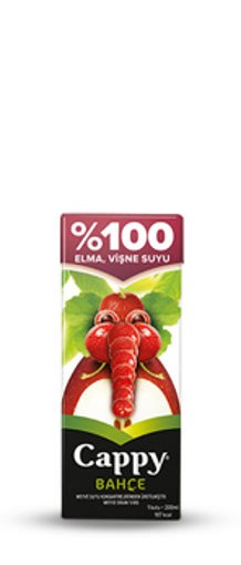 CAPPY M.SUYU 1/5 VİŞNE nin resmi