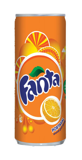 FANTA 250 ML KUTU nin resmi