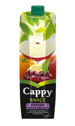 CAPPY M.SUYU 1/1 KARIŞIK nin resmi