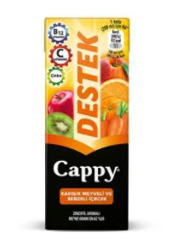 CAPPY MEYVE SUYU 1/5 ML.DESTEK nin resmi