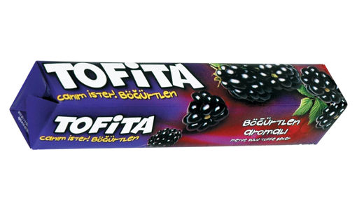 KENT TOFITA BOGURTLEN 47 GR nin resmi