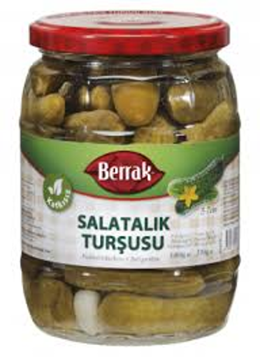 BERRAK SALATALIK TURSUSU NO:2 680 GR nin resmi