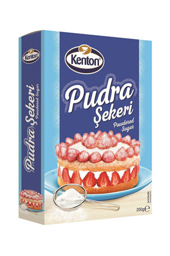 KENTON PUDRA SEKERI 250 GR nin resmi
