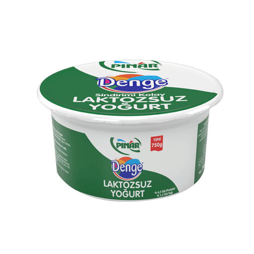 PINAR YOGURT LAKTOZSUZ 750 GR nin resmi