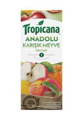 TROPICANA  1/5 ANADOLU MEYVE KARISIK nin resmi