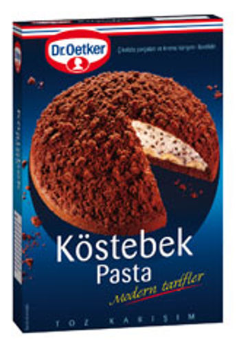 DR OETKER KOSTEBEK PASTA 450 GR nin resmi