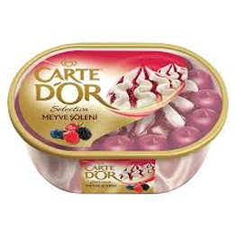 ALGİDA CARTEDOR SELECTİON 900 ML MEYVE ŞÖLENİ