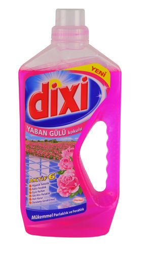 DIXI YUZEY TEMIZLEYICI 900GR YABAN GULU nin resmi