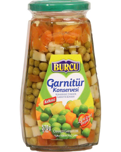 BURCU GARNITUR 570 GR CAM. nin resmi