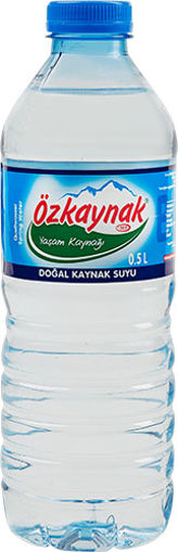 OZKAYNAK SU 0.5 LT nin resmi