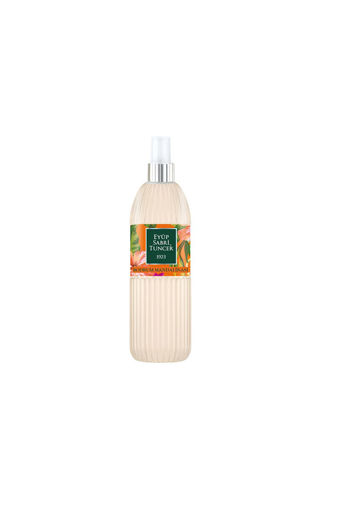 DEL.EST KOLONYA 150 ML SPREY PET BODRUM MANDALINAS nin resmi