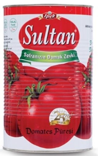 DEL.SULTAN DOMATES PURESI 800 GR TNK nin resmi