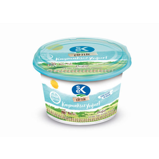 SEK T.Y CIFTLIK YOGURT 450 GR nin resmi