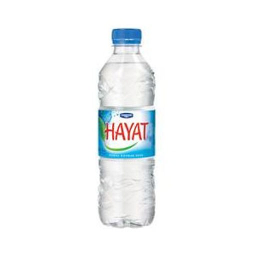 HAYAT SU 0,5 LT nin resmi