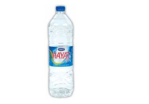 HAYAT SU 1,5 LT PET nin resmi