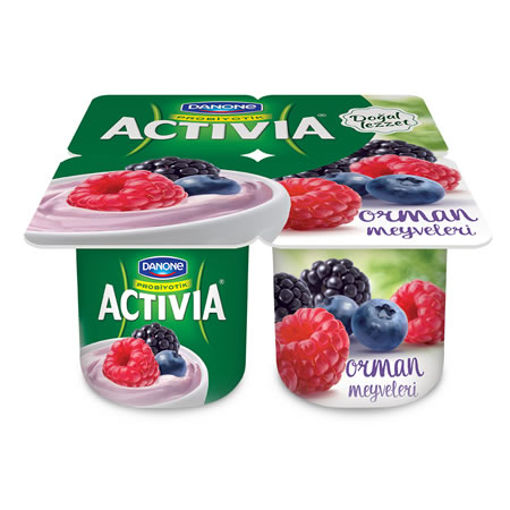 ACTIVIA 4*100 GR ORMAN MEYVELI nin resmi