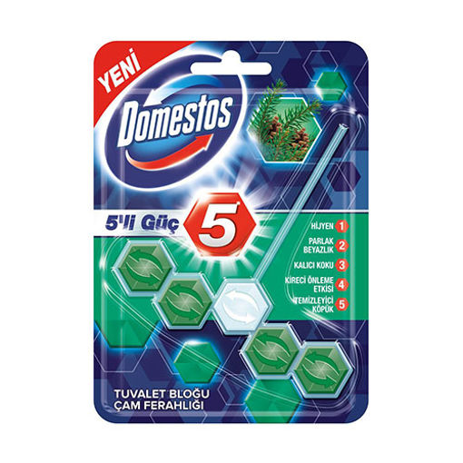 DOMESTOS WC BLOK 5LI GUC 50 GR CAM FERAHLIGI nin resmi