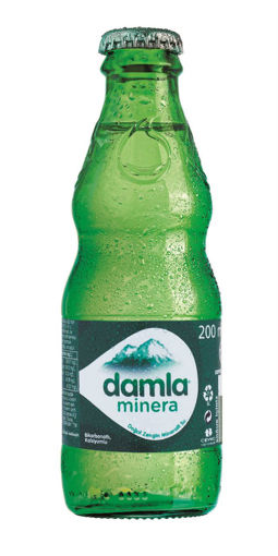 DAMLA MİNERA SADE 200 ML nin resmi