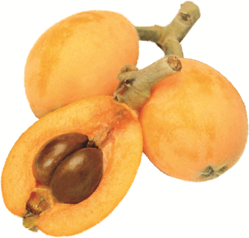 ERİK MALTA nin resmi