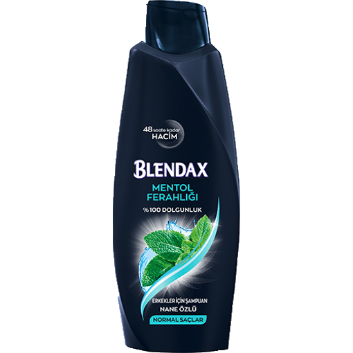 BLENDAX 470ML SAMP. MENTOLLU ERKEK ICIN nin resmi
