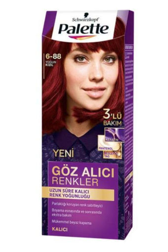DEL.PALETTE GOZ ALICI 6-88 YOGUN KIZIL nin resmi