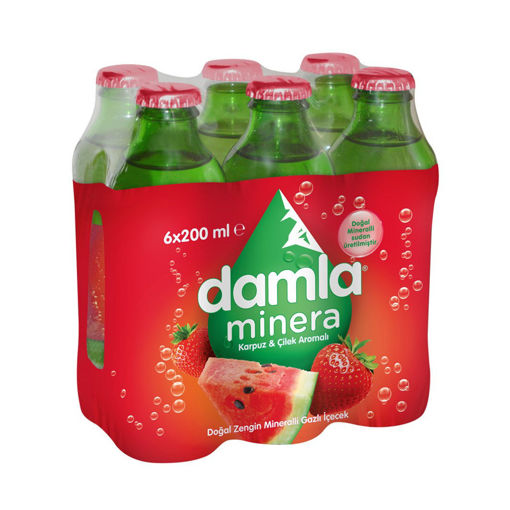 DAMLA MINERA  CILEK KARPUZ 6*200 ML nin resmi