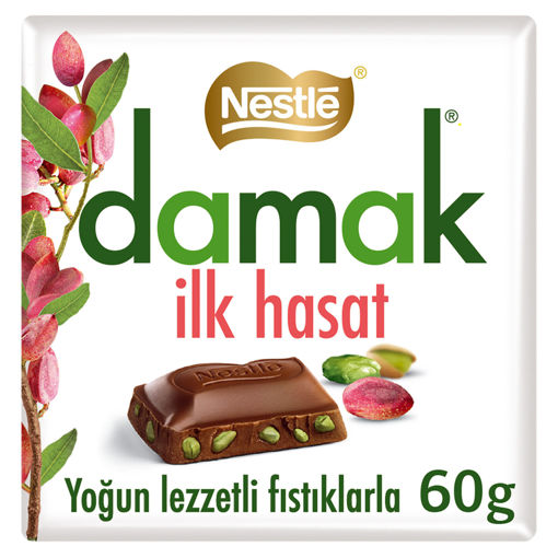 DEL NESTLE DAMAK 60 GR ILK HASAT KARE CIK nin resmi