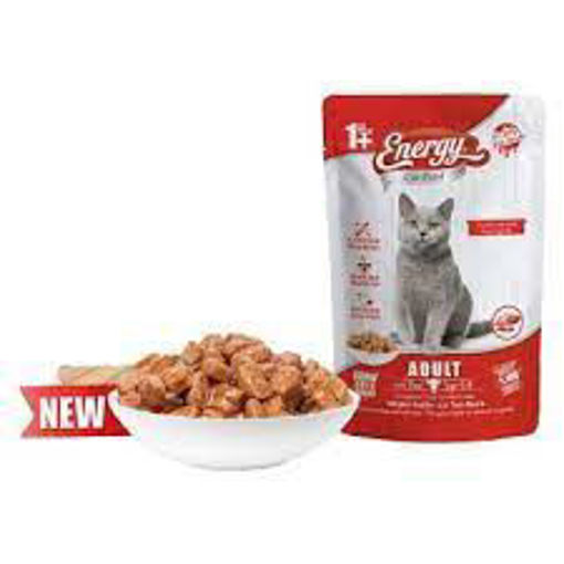 ENERGY KEDI POUCH SIGIR ETLI 85 GR nin resmi