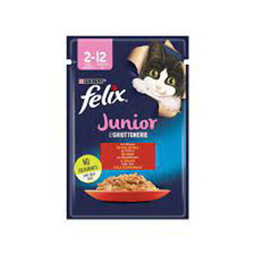FELIX POUCH YAVRU ETLI 85 GR nin resmi