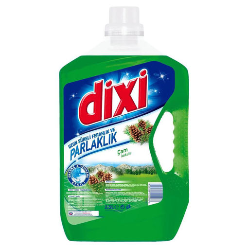 DIXI YUZEY TEMIZLEYICI 2,5 KG CAM nin resmi