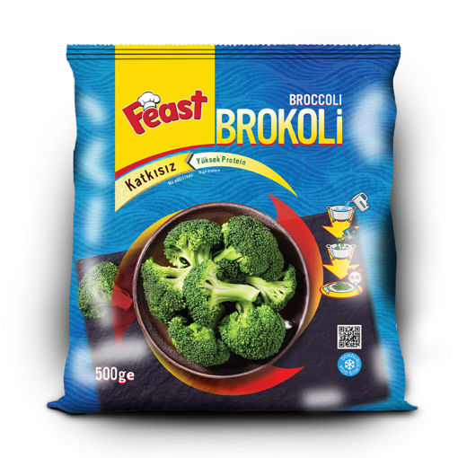 FEAST DONDURULMUS BROKOLI 500 GR nin resmi