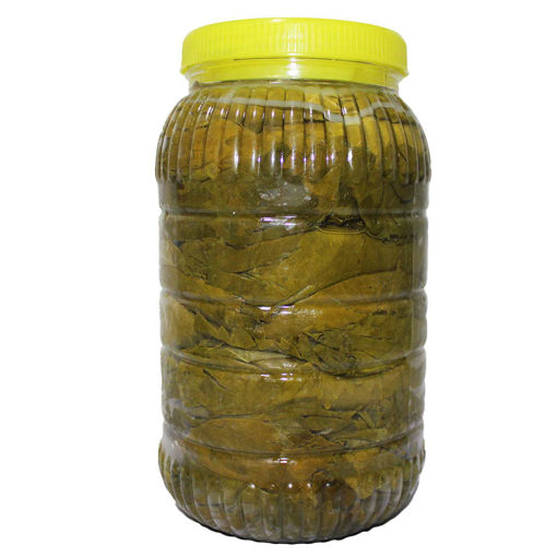 SALAMURA YAPRAK PET 3KG nin resmi